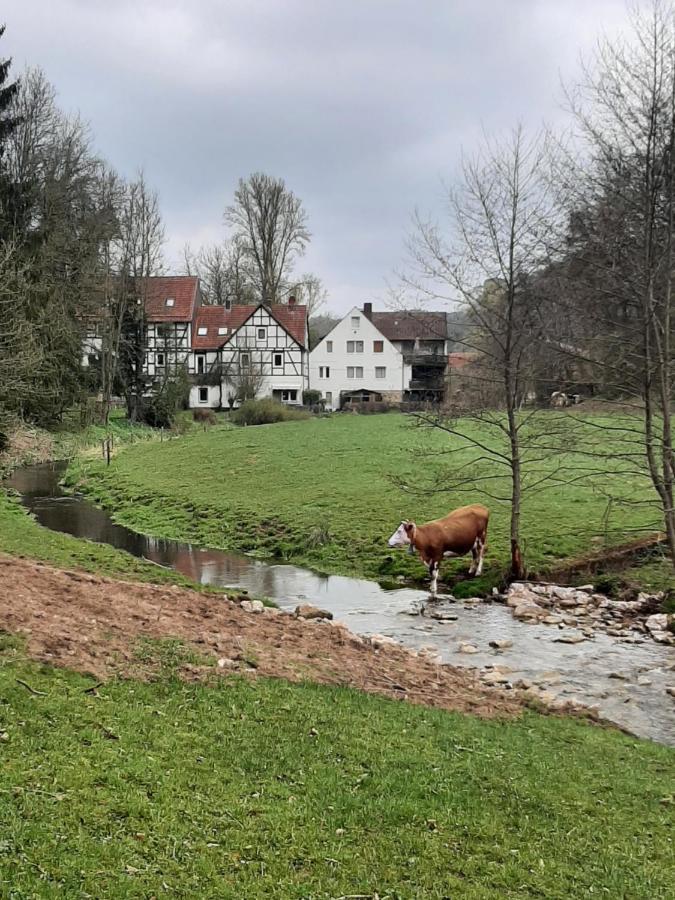 Apartamento Haus An Der Werbe Waldeck  Exterior foto